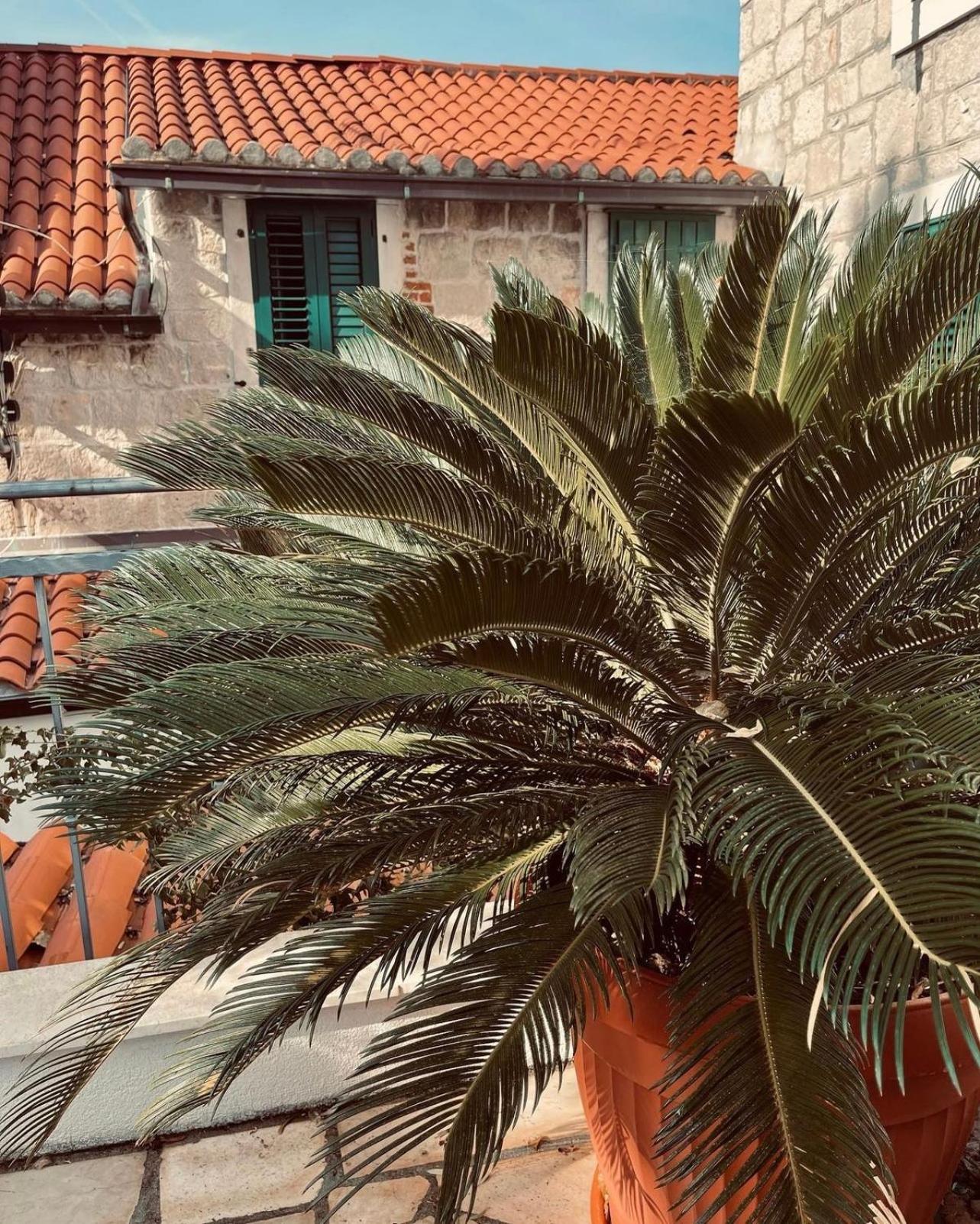 Villa Saint Lucas Split Exterior foto